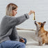 Sosation 6 Pcs Dog Meal Toys for Aggressive Chewers, Tough Puppy Teething Nylon Beef Flavor Bones for Large Medium