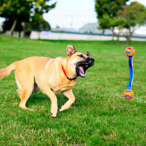 Chuckit Ultra Duo Tug Dog Toy, Medium Indoor/Outdoor Ball for Dogs 20-60 Pounds