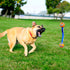 Chuckit Ultra Duo Tug Dog Toy, Medium Indoor/Outdoor Ball for Dogs 20-60 Pounds