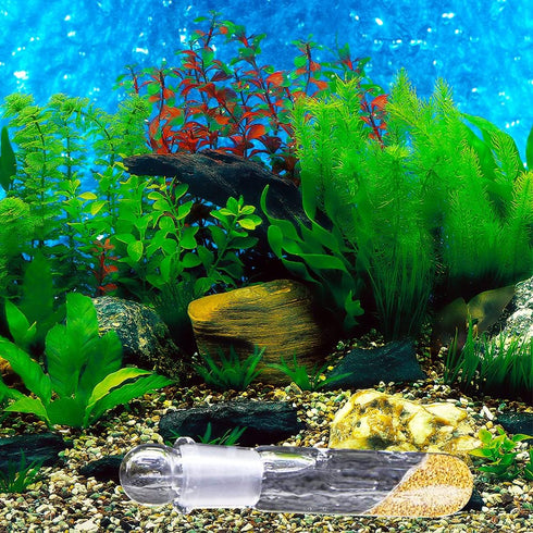 2 Pack Clear Glass Planaria Trap, Aquarium Cleaning Supply for Dwarf Shrimp, Crystal Red Shrimp, Cherry Shrimp (2 Holes)