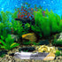 2 Pack Clear Glass Planaria Trap, Aquarium Cleaning Supply for Dwarf Shrimp, Crystal Red Shrimp, Cherry Shrimp (2 Holes)
