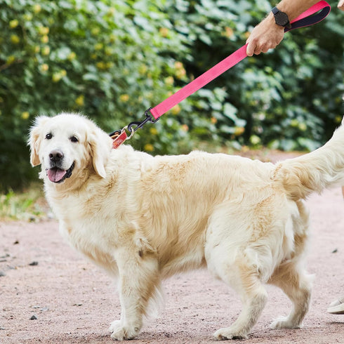 Dog Leash, Short Leash for Large Breed Dogs, Traffic Padded Handle, Reflective Training Lead for Medium to Large Dogs