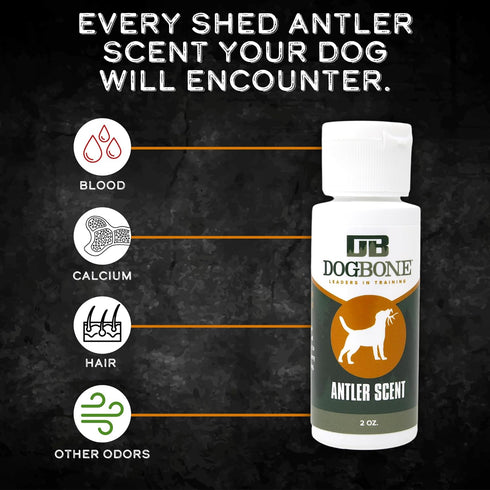 DogBone Shed Dog Training System, Hunting Dog Accessories, Training Kit, Scent Training Tools for Dogs