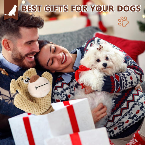 Plush Squeaky Dog Chew Toy with Crinkle Paper, Tough Tug of War Toys - Interactive Dog Toys for Small, Medium, Large
