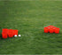 Set Giant Yard Pong - Durable Buckets and Balls with Carrying Case
