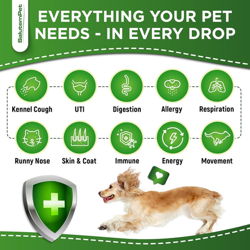 Natural Antibiotics for Dogs, Help with Allergies and UTIs, Herbal Supplement for All Breeds and Ages, 2 oz