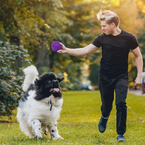 VITEVER 3 Colors Heavy Duty Squeaky Dog Toy Balls, 4.5” for Medium Large Dogs, Durable Chew Toys