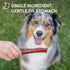 6 Inch (10 Pack) Downtown Pet Supply Bully Sticks for Dogs - Natural Beef Chews, Odor-Free & Rawhide-Free, Long Lasting