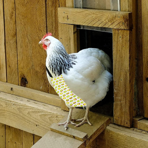 Washable Fruit Print Diapers for Poultry - Kiwi, Medium Size
