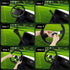 Golf Cart Steering Wheel Adapter, Golf Cart Accessories for EZGO TXT & RXV Golf Cart (Black Golf Cart Adapter)