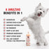 17 oz Warren London Neem Oil with Oatmeal Dog Shampoo - Deep Cleansing & Moisturizing for Sensitive Skin - Itch Relief