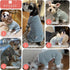 KYEESE Dog Pajamas Stretchable 4 Legs Striped Jumpsuit, Lightweight Onesie, Cozy Outfit for Dogs, Green Striped, Medium