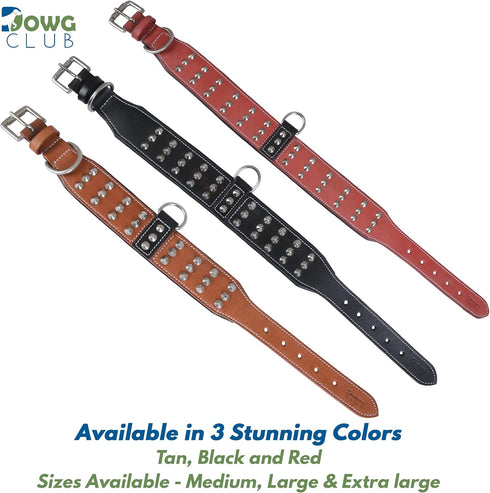 Genuine Leather Studded Dog Collar | Brazier Rivet | 2” Wide, Heavy Duty, Cushion Padding for Medium, Large, XL
