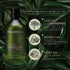 Pet Shampoo Refresh Purple Botanical Line, Cleanses & Conditions for Soft Coat, pH-Balancing Formula, 300ml / 10.14 fl