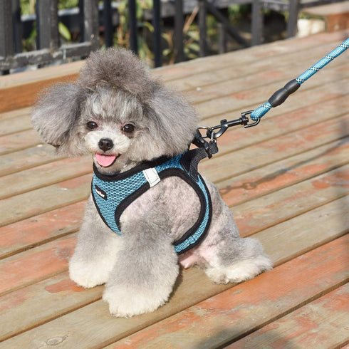Dog Harness Step-in Breathable Vest Harnesses for Small/Medium Dogs (Blue)
