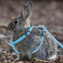 Adjustable Pet Rabbit Harness - Nylon Bunny Harness and Leash for Walking, Running, Outdoor (Blue) Medium