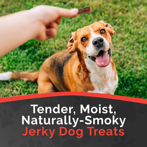 16 oz. Miss Nelly's - Chicken Jerky Dog Treats - Soft Sticks - USA Made and Sourced - Original Smoke House Recipe