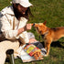 6 oz Jungle Calling Rawhide Free Dog Chew Treats, Real Chicken Wrapped Peanut Butter Bones, Teeth Clean Chewy Training