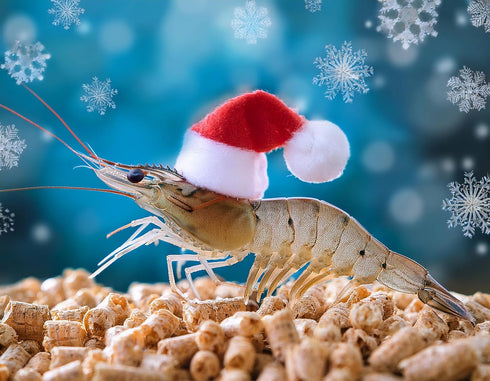 White River Bee Supply (4 oz/113.4g) Shrimp Snowflakes & Shrimp Food