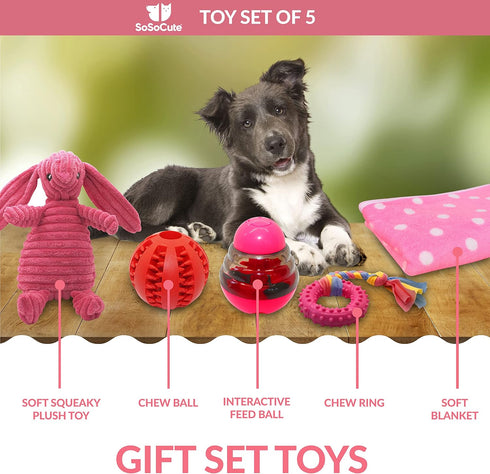 Pink Dog Gift Box - Puppy Care Package with 5 Chew Toys, Dog Blanket, Squeaky Plush, Rubber Teether, and Treat Ball