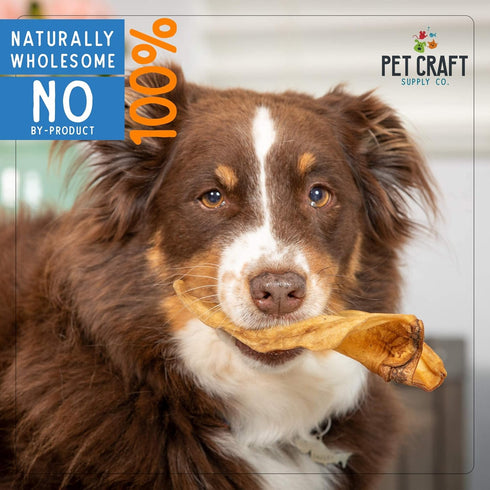Pet Craft Supply Grass Fed Water Buffalo Ear 16 Count | Pack of 1, Long Lasting Dog Chew and Treat for Puppies
