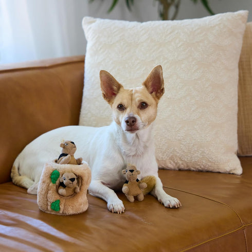 3Pack Outward Hound Squeakin Squirrels Plush Squeaky Dog Toys for Puppies, Small Dogs & Hide-A-Squirrel Replacements