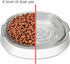 Small Glass Cat Food Bowls, Shallow Water Bowl for Cats, Kitties, and Small Dogs, Transparent Pet Feeding Bowl,