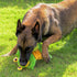 Sedioso Dog Tug Toy, Durable Squeaky Toy for Large Breeds, Stuffed Plush Toy with Crinkle Paper for All Dogs (Frog)