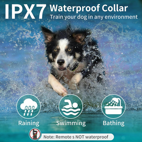 Dog Bark Collar with Remote, 3300 feet Waterproof Training Collar Combo for 5-120lbs All Breeds Dogs (2 Packs)