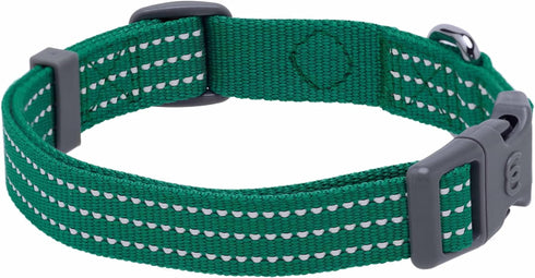 Blueberry Pet Essentials Reflective Better Basics Matching Dog Collar, Leash & Harness Set in Dark Green