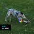 Nite Ize 9 GlowStreak Rechargeable LED Ball - Rubber Dog Toy - Motion-Activated & Waterproof Design - Hours of Runtime