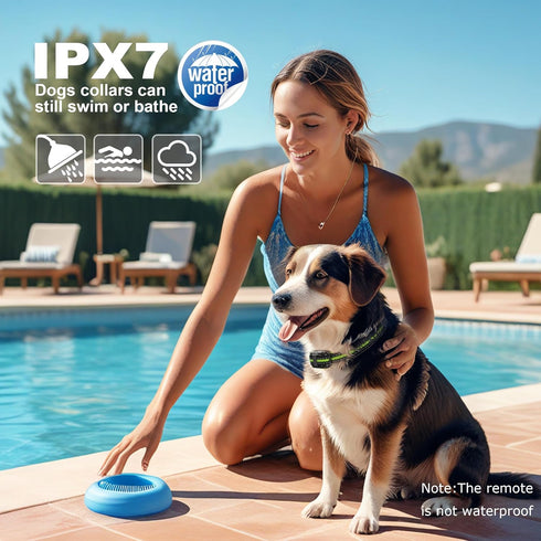 Dog Training Collar with Remote, 2600FT Range, 4 Training Modes Beep, Shake, Safe Shock, LED Light, Rechargeable IPX7