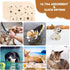 Chumia 4 Pcs Dog Towels for Drying Dogs, Microfiber Absorbent Towel for Medium Dogs & Cats, Light Brown