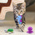 Catnip Toys for Indoor Cats - Interactive Chew Bite Kick Toys Set of 6 - Gifts for Cat Lovers - Lobster Octopus Crab