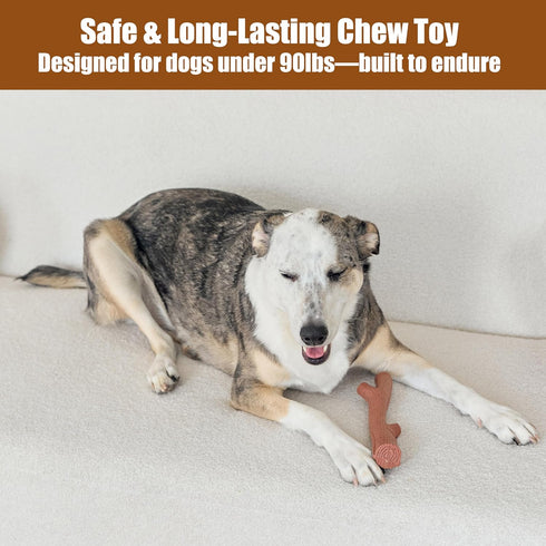 SPOT Bam-Bones Plus Durable Dog Chew Toy for Aggressive Chewers, 9.5in, Beef Flavor, Bamboo Fiber & Nylon