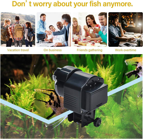 Lychee Aquarium Fish Feeder, Automatic Fish Food Dispenser with Timer for Holiday Vacation (AF-2003)