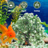Aquarium Landscape Tree - Artificial Plastic Plants Tree Decoration with Resin Base for Fish Tank