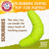 Arm & Hammer for Pets Scrubbies Boomerang Chew Toy for Puppies Infused with Baking Soda - Durable Teething Toy with Unique Shape for Fetch & Chew - Interactive Dental Chew Toy for Puppies
