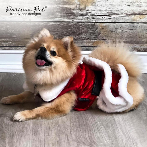 Parisian Pet Christmas Dress, Mrs. Santa Claus Dog Costume with Red Velvet Skirt for Large Dogs