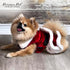Parisian Pet Christmas Dress, Mrs. Santa Claus Dog Costume with Red Velvet Skirt for Large Dogs