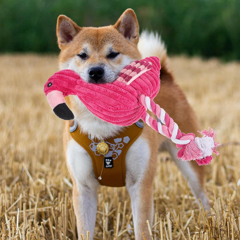 Mipcase Dogman Chew Toys - Small Flamingo Squeaky Toy, Indestructible Cotton Rope Plush Toy for Dogs