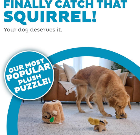 2in1 3 Outward Hound Hide-A-Squirrel Dog Toy Interactive Plush Puzzle with Squeaky Removable Squirrels, Large