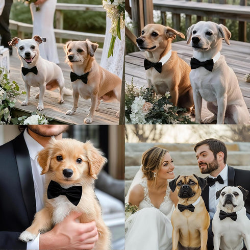 ZTON Handcrafted Adjustable Formal Pet Bowtie Collar Neck Tie for Dogs & Cats (L, Black)
