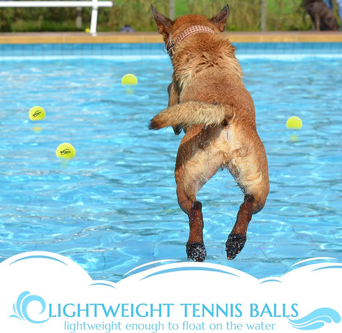 Dog Tennis Balls - 12 Pack Squeaky Interactive Toys for Training, Indoor Outdoor Play, 2.5" Rubber Balls for All Sizes