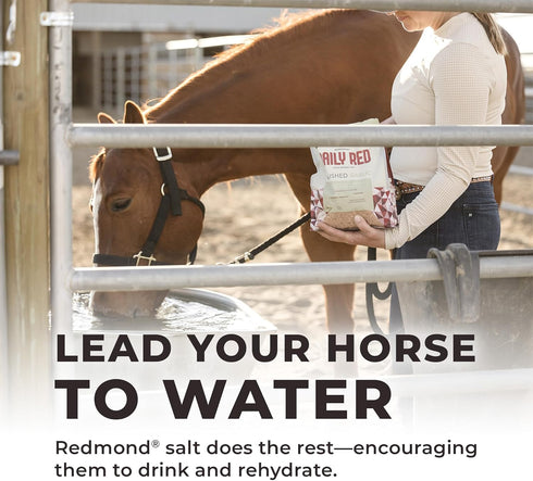 Redmond Daily Red Crushed Garlic Supplement for Horses