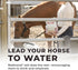 Redmond Daily Red Crushed Garlic Supplement for Horses
