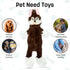 FGA MARKETPLACE Pack of 5 Flat NO Stuffing NO Squeak Plush Dog Toys, Funny Style for Small and Medium Dogs