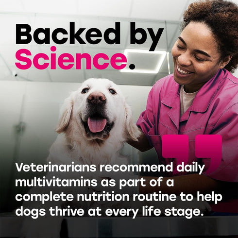 24-in-1 Dog Multivitamin Chews Dog Vitamins and Supplements with Glucosamine, Chondroitin, Probiotics, Salmon Oil