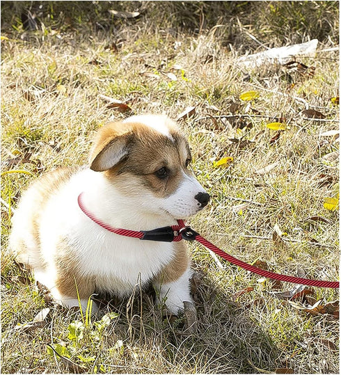 8FT Slip Lead Dog Leash, 1/3” Strong Rope, Adjustable No-Pull Leash for Small and Medium Pets