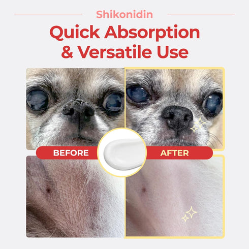 JAYU PET 0.7oz (20g) Shikonidin Cream for Dog & Cat, Hotspots Itchy Skin Relief, Moisturizing Lotion for Sensitive Nose